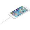 f8580305a89738f2843de14908019421.jpg Apple Lightning to USB Cable (1m)